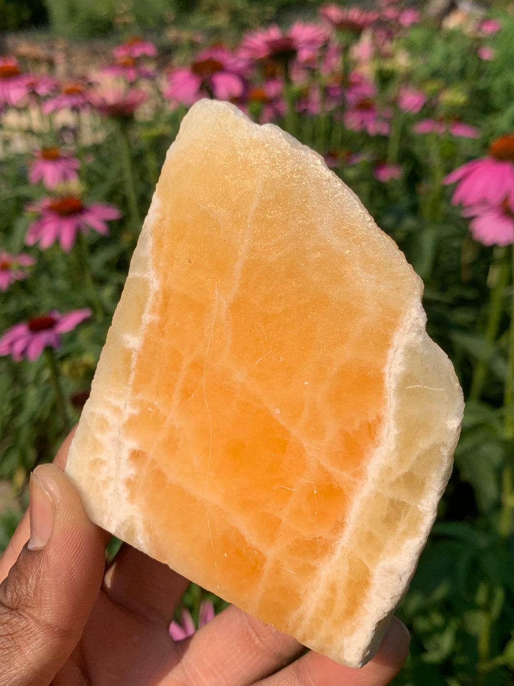 Honeycomb Calcite