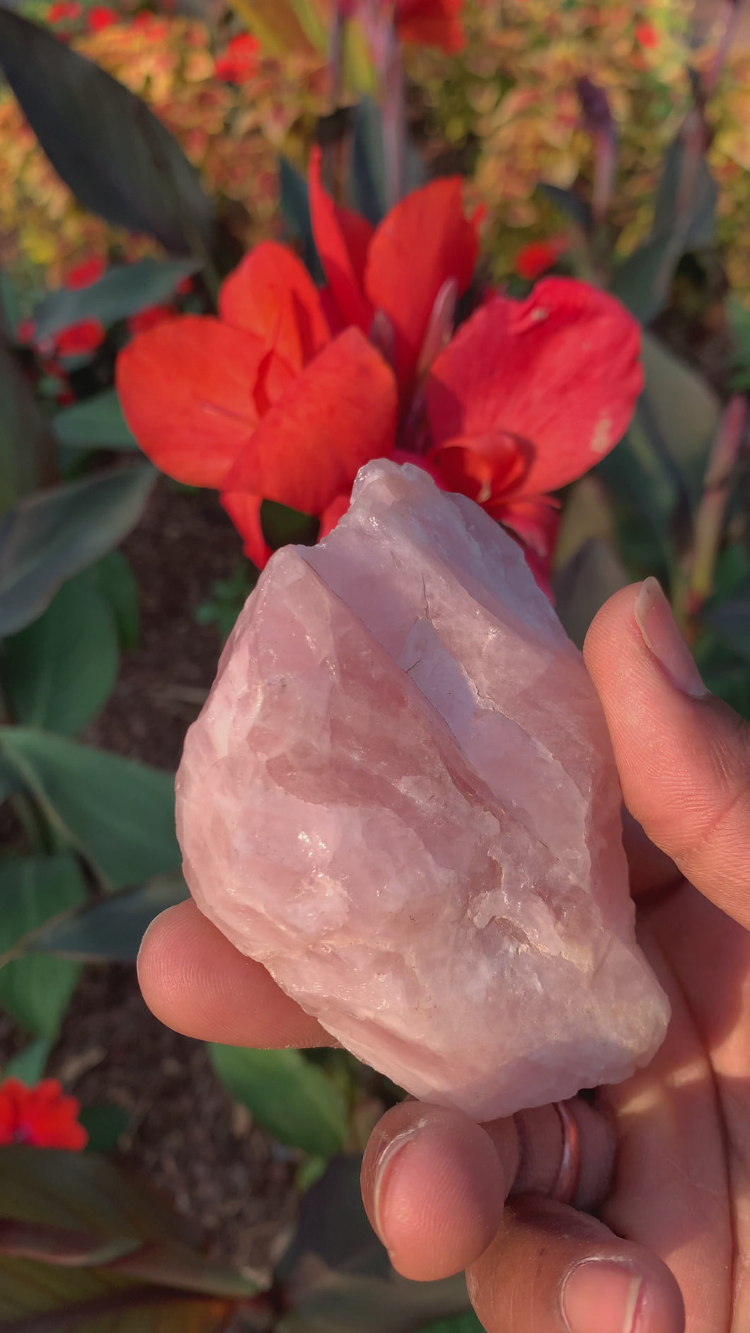 Rose Quartz